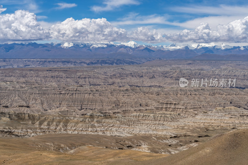 西藏阿里札达土林高原荒凉戈壁与雪山远景