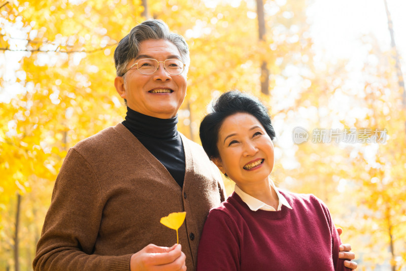 在银杏林散步的老年夫妻