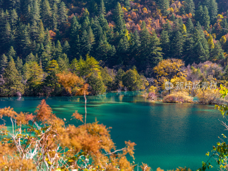 九寨沟秋景