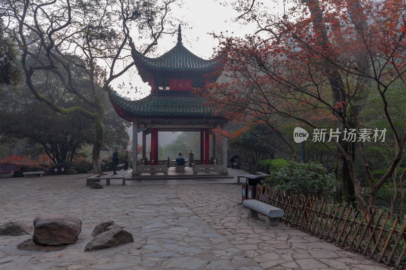 初冬晨雾中的长沙爱晚亭