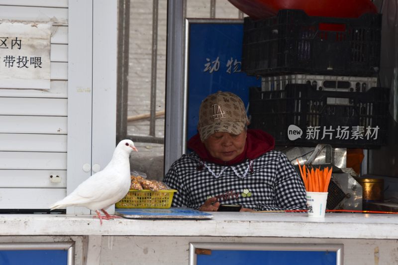 摊位前戴帽老人看手机旁有白鸽