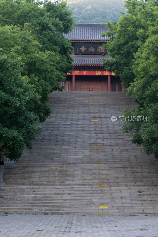 绿树环绕的登山台阶与寺庙