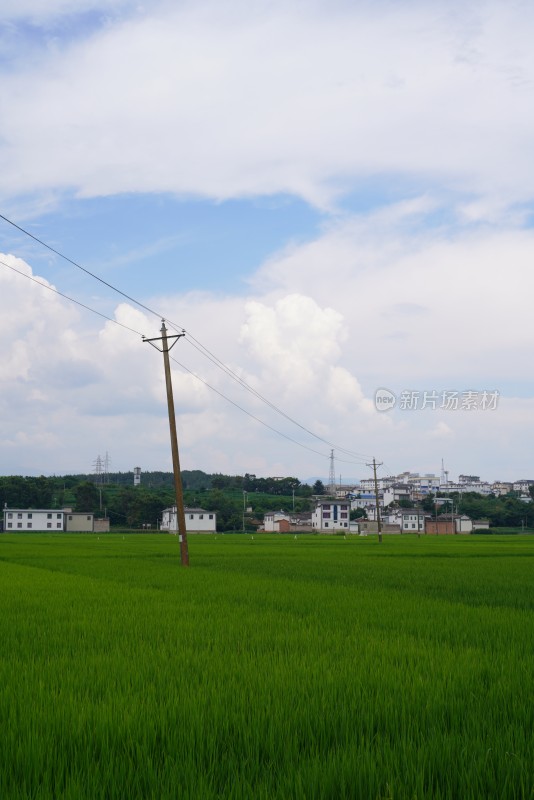 田野乡村与远山风景