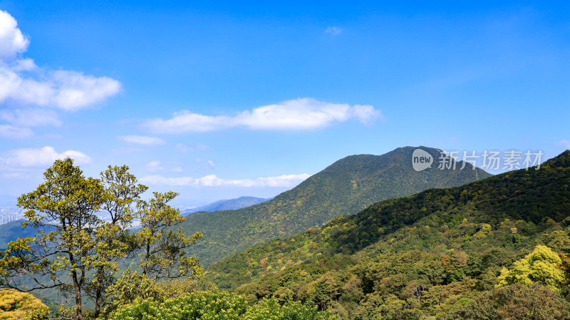 蓝天白云下的山林风景