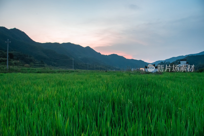 篁岭稻田日落的宁静之美