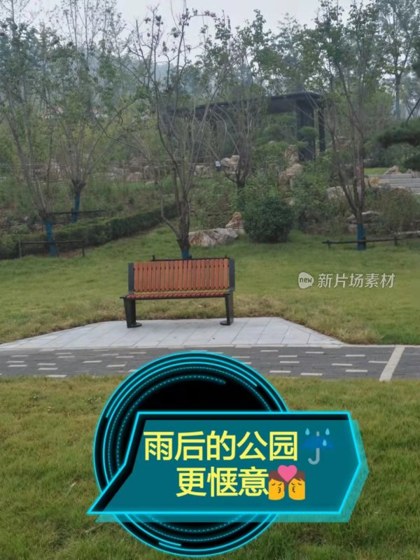 公园长椅雨后景象更显惬意