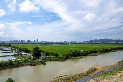 广州南沙区珠江街道