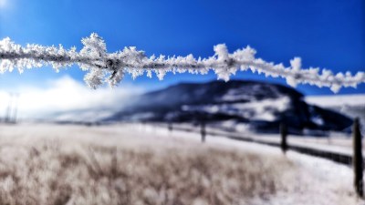 带霜铁丝围栏的户外自然景象