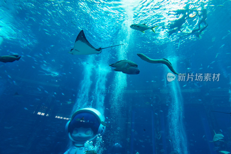 亚特兰蒂斯酒店水族馆