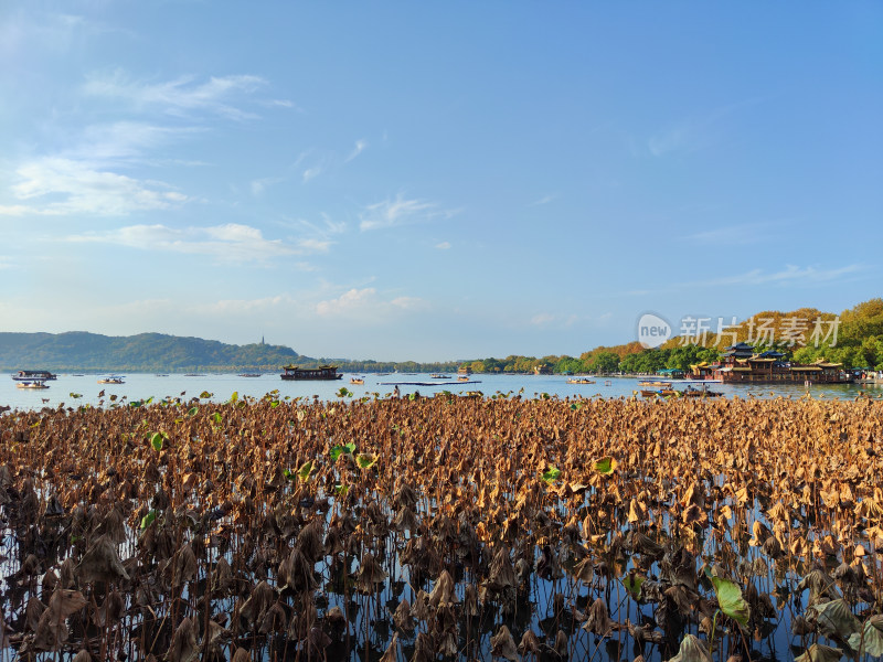 杭州西湖断桥湖畔黄昏夕阳下的景色