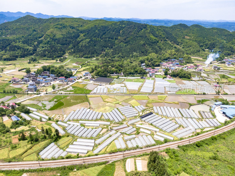 美丽乡村农业种植大棚航拍摄影图