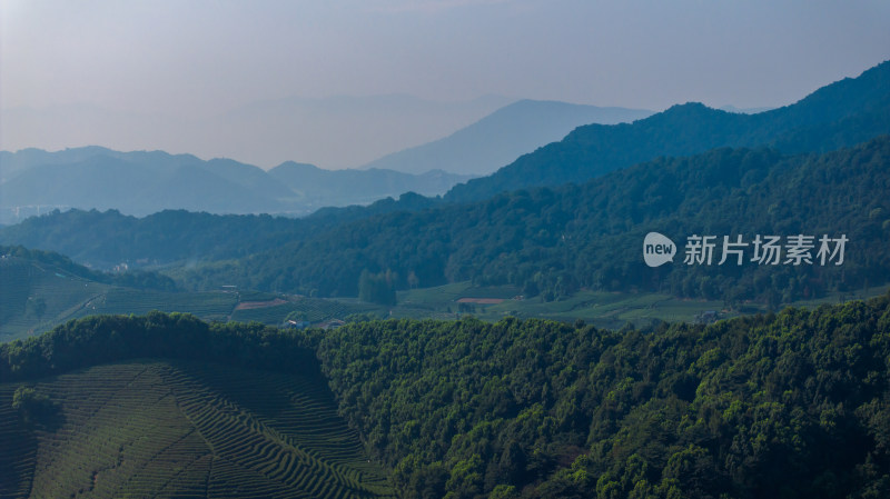 航拍杭州龙坞茶园 茶山 茶田