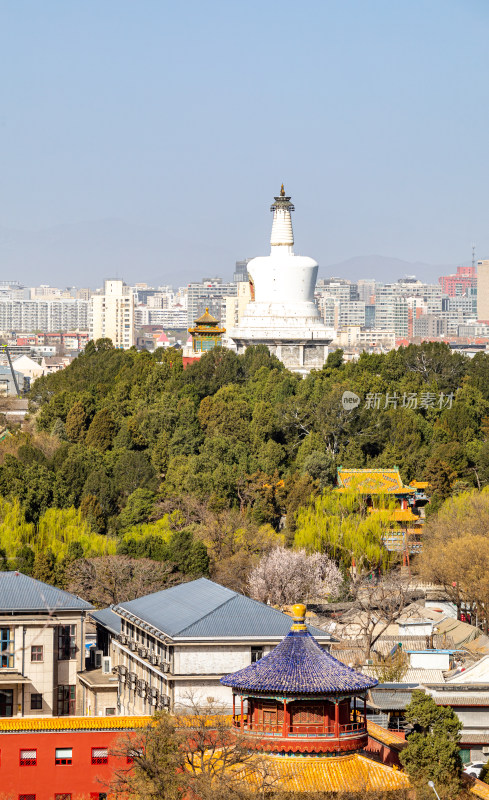 北京景山公园看北海公园后海公园城市景观