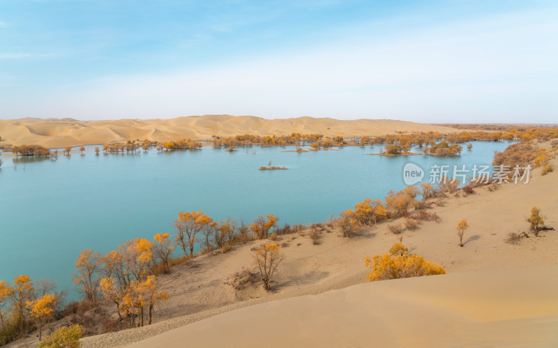 秋天的新疆尉犁县葫芦岛风景