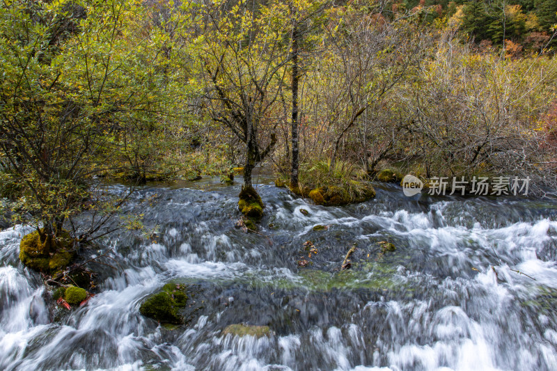 九寨沟秋色，珍珠滩山林清流飞瀑