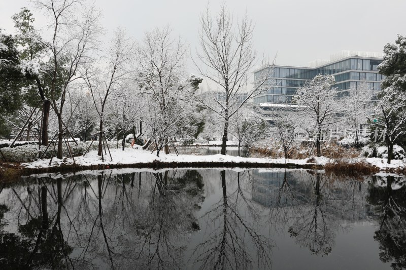 阿里巴巴西溪园区雪景