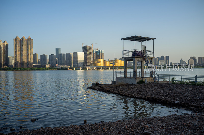 城市高楼背景下的湿地自然景观