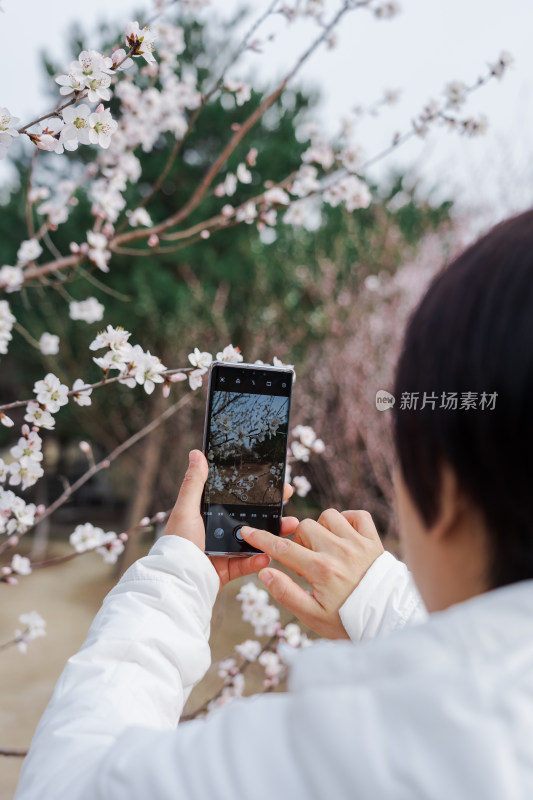 春天在公园游玩用手机拍照的中国女性