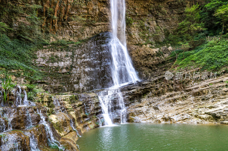 湖北宜昌三峡竹海风景区，自然风光，竹海