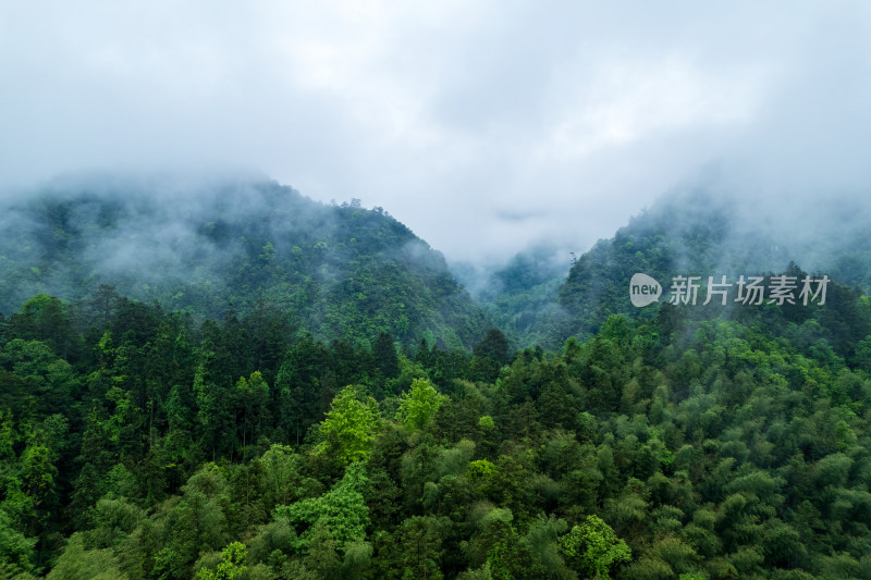 山林云雾缭绕全景