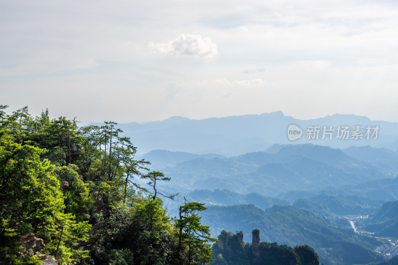 中国湖南张家界景区奇特山峰与茂密森林