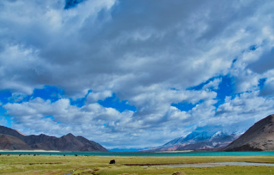 新疆克州卡拉库里湖畔草原雪山自然风光