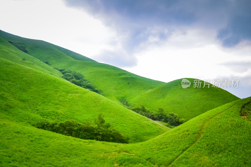 江西武功山高山草甸