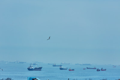 土耳其博斯布鲁斯海峡