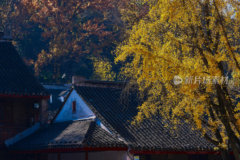 南京栖霞山栖霞寺秋色