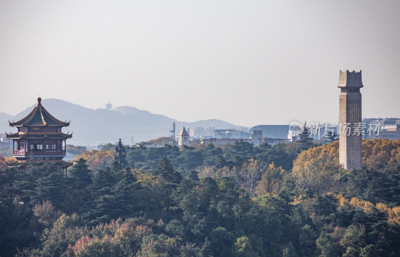 南京雨花台城市山林景观全景