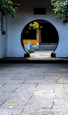 苏州北寺塔报恩寺秋色景观