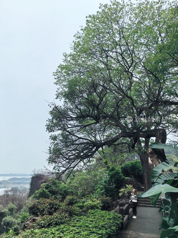 广州莲花山