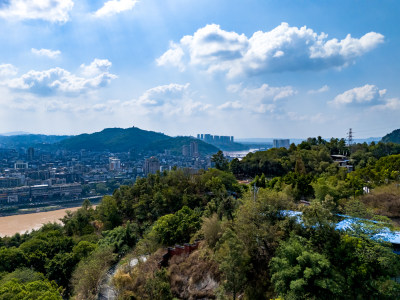 宜宾城市大景绿化植物航拍图