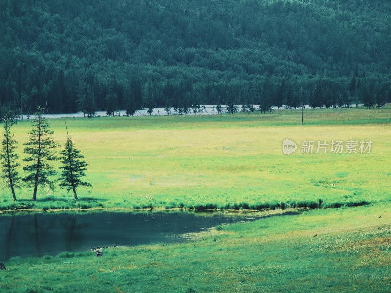 新疆喀纳斯湖风景