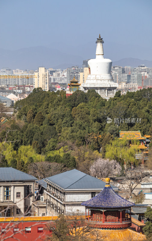 北京景山公园看北海公园后海公园城市景观