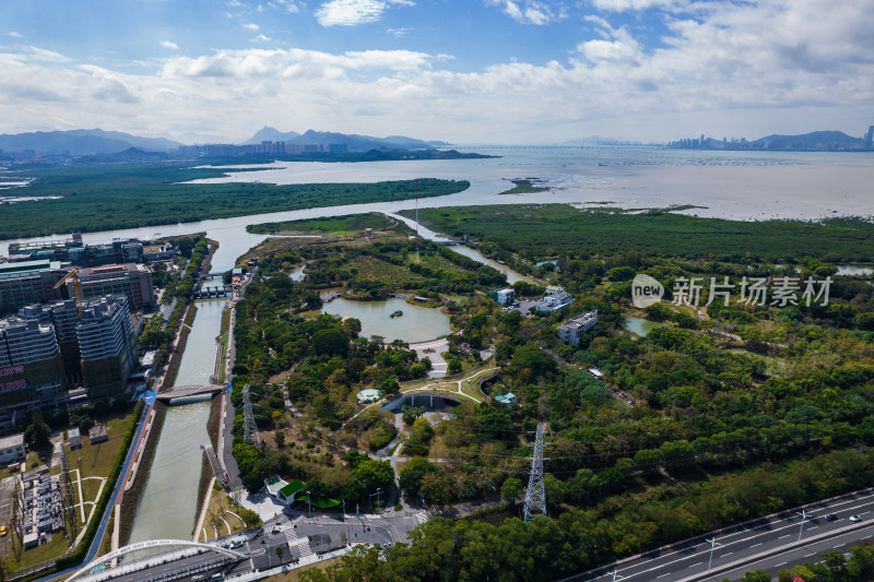 深圳福田红树林自然保护区