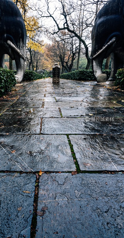 秋日石象景观小道雨中明孝陵