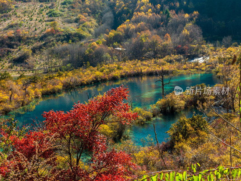 九寨沟秋景