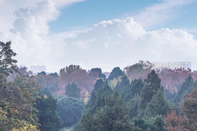 南京钟山风景名胜区明孝陵秋景