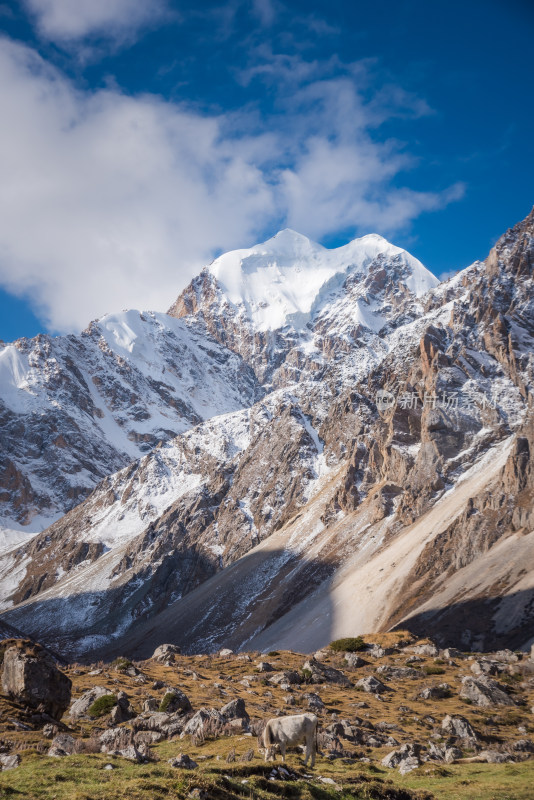 新疆天山山脉雪山山峰