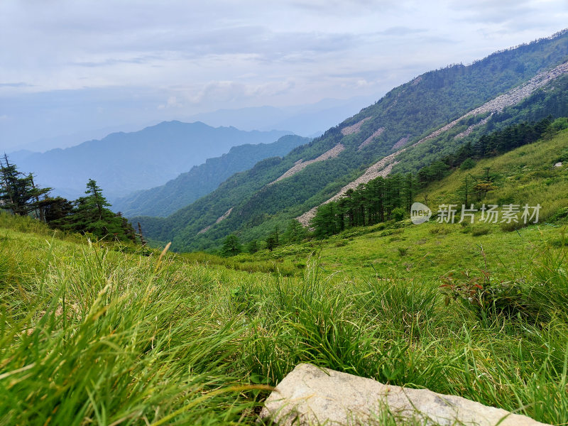 山景自由