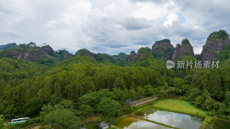 航拍中国福建武夷山森林