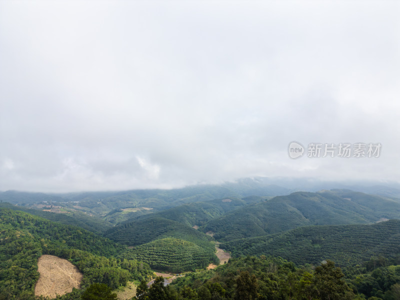 云雾笼罩下的葱郁山林鸟瞰全景