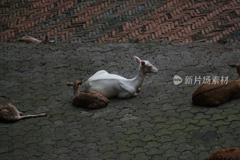 杭州风光 西湖风光 舟山风光