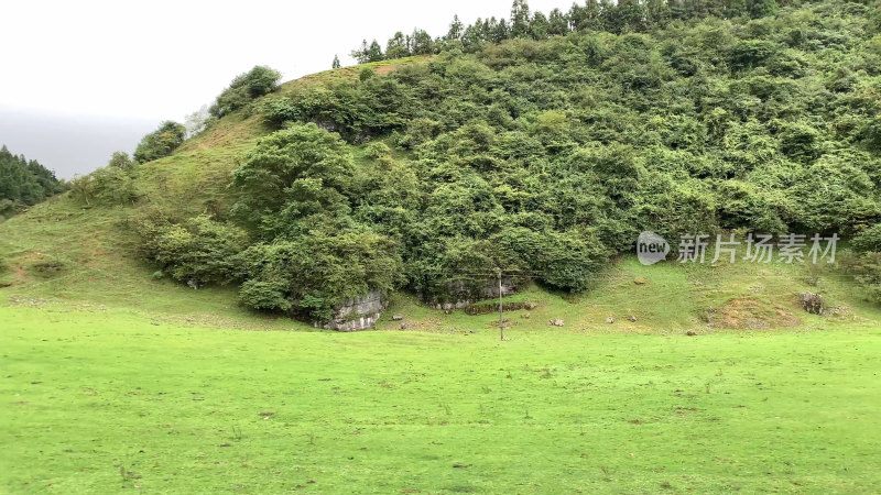 重庆武隆仙女山森林公园