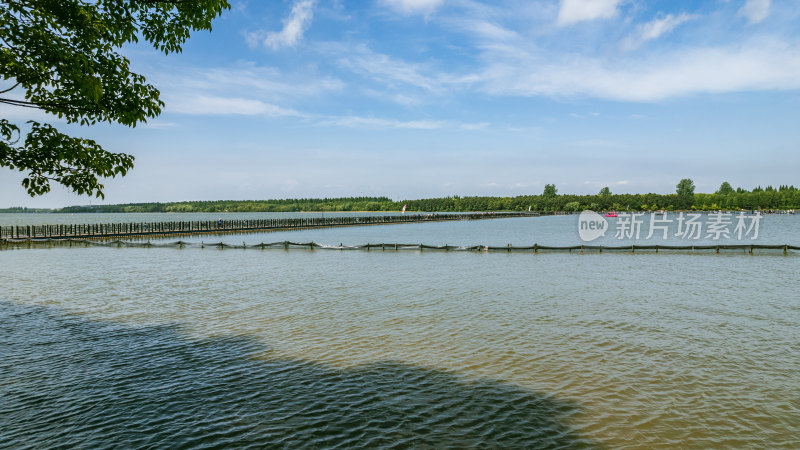 上海崇明岛西沙明珠湖风景区