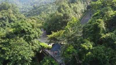 广东东莞银瓶山森林公园清溪景区登山步道