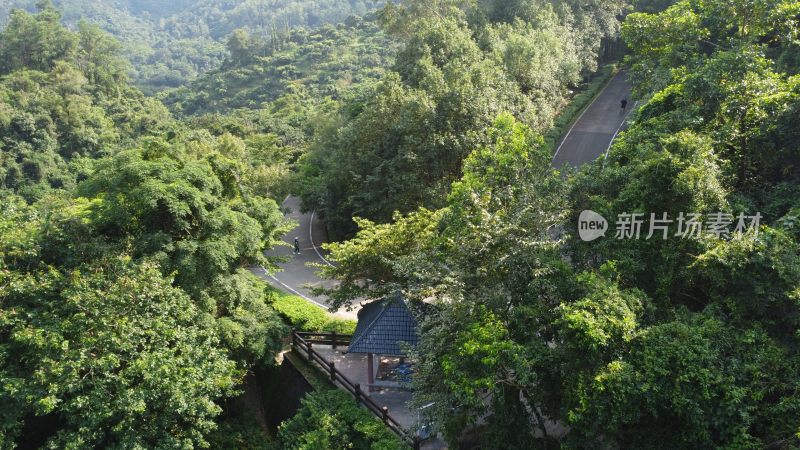 广东东莞银瓶山森林公园清溪景区登山步道