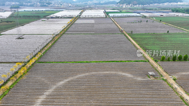 航拍农业大棚基地 农业产业乡村振兴
