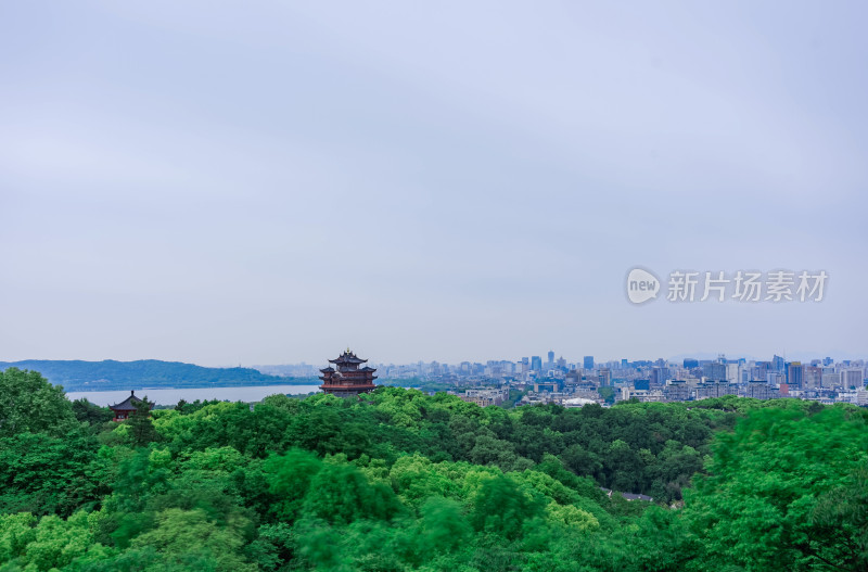 绿树掩映中的古建筑与城市景观